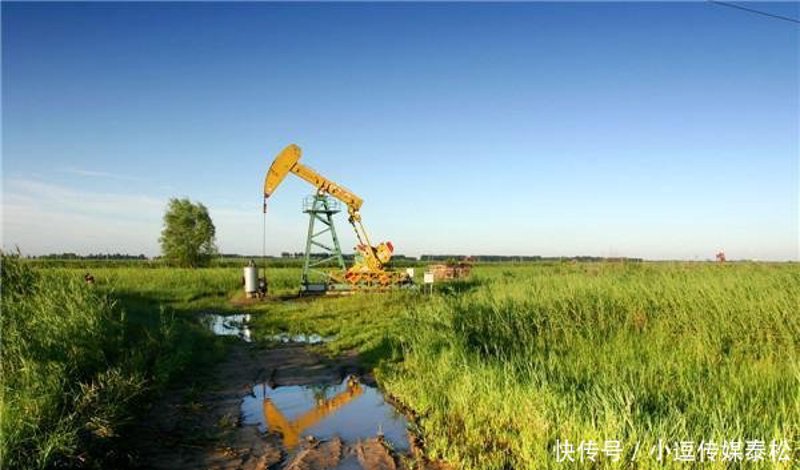 龙凤区——解锁城市的多彩魅力